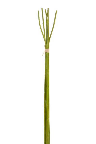 Fijne Bamboo in bundel 6stuks Groen Fijne Bamboo in bundel 6stuks Groen