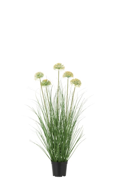 Gras met bloem in pot pvc groen