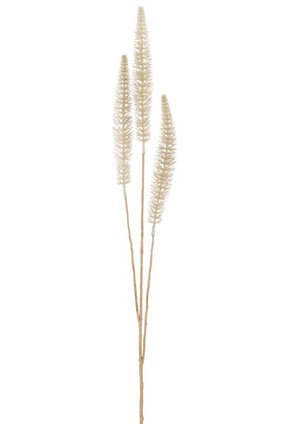 Tak banksia 3 delig plastiek crème/goud