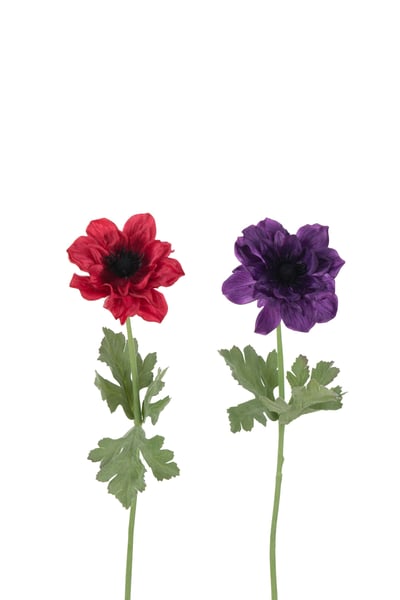 Anemoon steel kunststof fuchsia/paars assortiment van 2