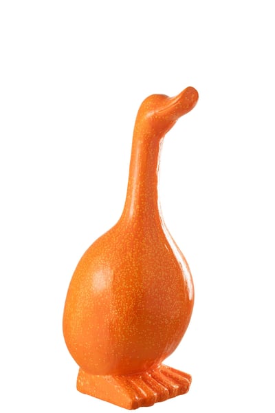 Gans buiten mgo oranje