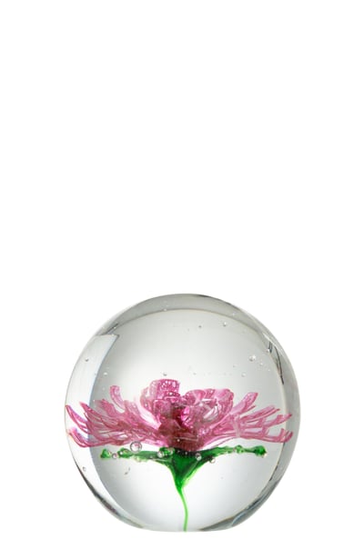 Presse papier aster rond glas transparant/pink large