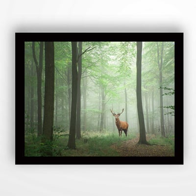 Schitterend MDF schilderij met lijst, 41x56 cm, Veelkleurig Schitterend MDF schilderij met lijst, 41x56 cm, Veelkleurig