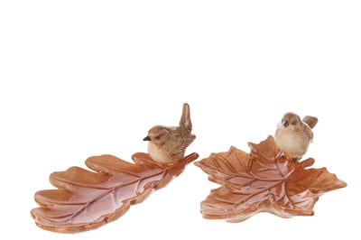 Bord deco dolomiet caramel assortiment van 2