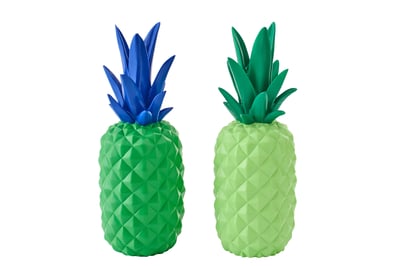 Ananas kalk groen/blauw assortiment van 2