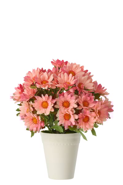 Madeliefje pvc lichtroze