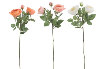 Roos tros fresh touch plastiek oranje/wit mix lassortiment van 3