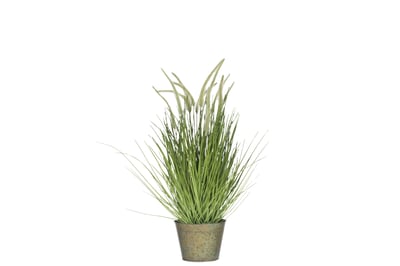 Grassen+staarten in pot metaal groen plastiek groen medium
