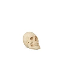 Schedel poly beige small