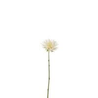 Chrysant mini plastiek wit small