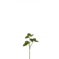 Tak hoppe plastiek groen
