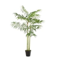 Bamboepalm in pot plastiek groen/zwart small