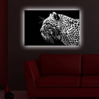 Shining Decoratief canvas schilderij met ledverlichting | Houten lijst | 45 x 70 cm