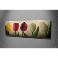 Vega Canvas Schilderij | Veelkleurig | 30x80 cm