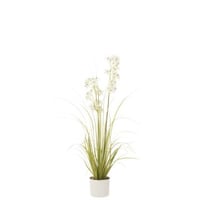 Allium in pot plastiek groen/wit medium