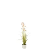 Allium in pot plastiek groen/licht roze small