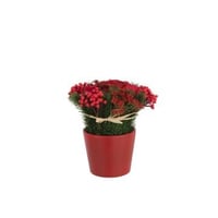 Rozen+bessen in pot cement plastiek rood/groen