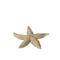 Zeester polyresine bruin/goud small