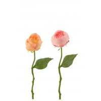Pioenroos kunststof roze/licht ora assortiment van 2