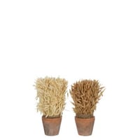 Oogst in terracotta pot naturel assortiment van 2