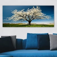 Multicolor Decoratief Canvas Schilderij | Erin | 100 anvas, Houten Kader | 50x120