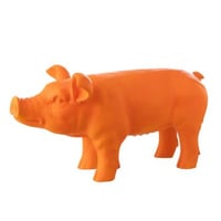 Varken  buiten mgo oranje