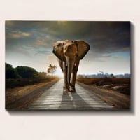 Bract Decoratief canvas schilderij | Houten lijst | 70 x 100 cm