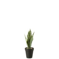 Dracaena trifasciata in pot kunstmatig groen small