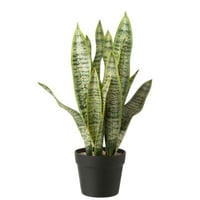 Dracaena trifasciata in pot kunstmatig groen large