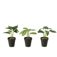 Planten in pot kunstmatig groen assortiment van 3