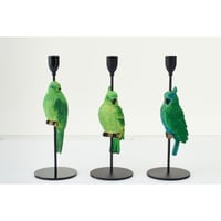 Kaarshouder op voet papegaai kalk groen/blauw assortiment van 3