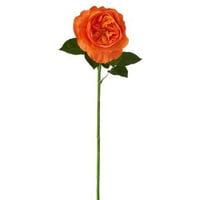 Roos echt gevoel stof donkeroranje