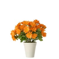 Madeliefje pvc oranje