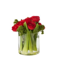 Ranonkel in vaas stof rood/transparant large