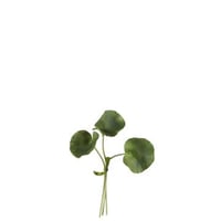 Bundel lotusblad plastiek groen