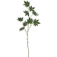 Papaya tak plastiek groen