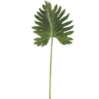 Blad plastiek donker groen