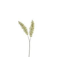 Tak varen boston plastiek groen small