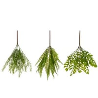 Tak varen mix plastiek groen assortiment van 3
