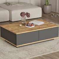 Salontafel FR14 - 100% MELAMINE - Atlantisch Grenen - 90 x 28,6 x 60 cm