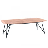 Tuintafel Talinn 250x110cm gegalvaniseerd staal - teakhout/zwart