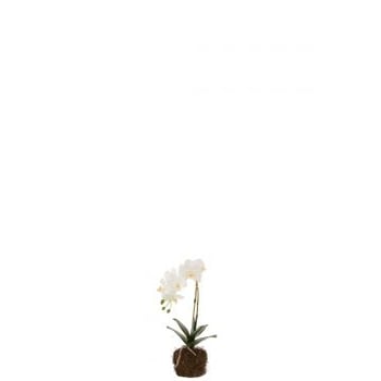 Orchidee in aarde plastiek wit/groen small