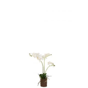 Orchidee in aarde plastiek wit/groen medium