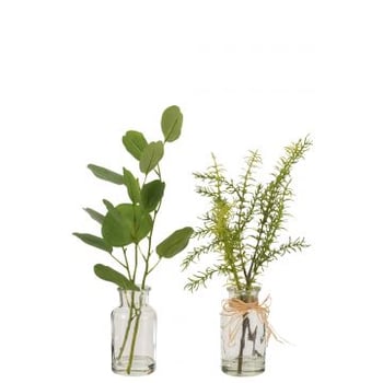 Eucalyptus/takjes in vaas glas klaar/plastiek groen assortiment van 2