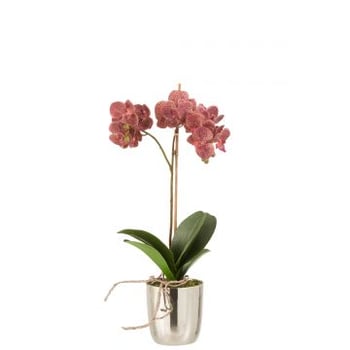 Orchidee in pot plastiek/cement donker roze/zilver
