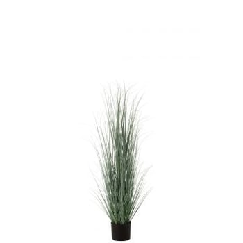 Grassen in pot plastiek blauw/groen large
