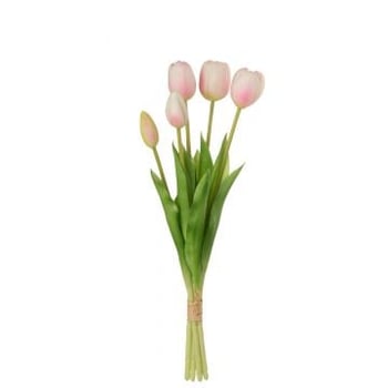 Boeket tulpen 5stuks pu licht roze medium