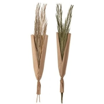 Bladeren khajur 2 stukken groen assortiment van 2