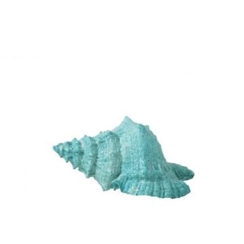 Zeeschelp polyresine azuur