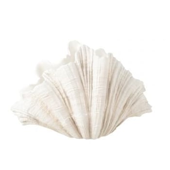 Deco vaas mossel schelp polyresine gebroken wit